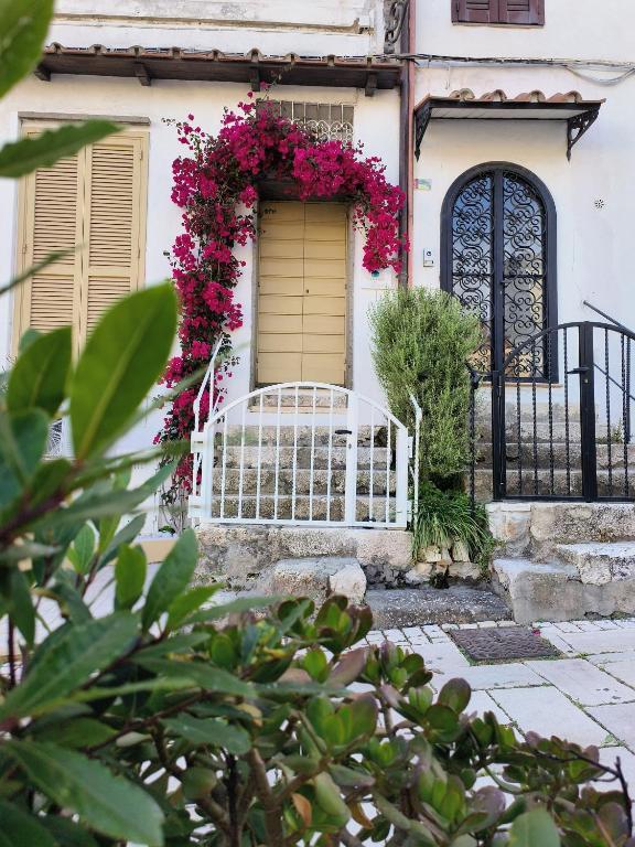 Vonkajšia záhrada v ubytovaní Tiny Circe house - alloggio turistico