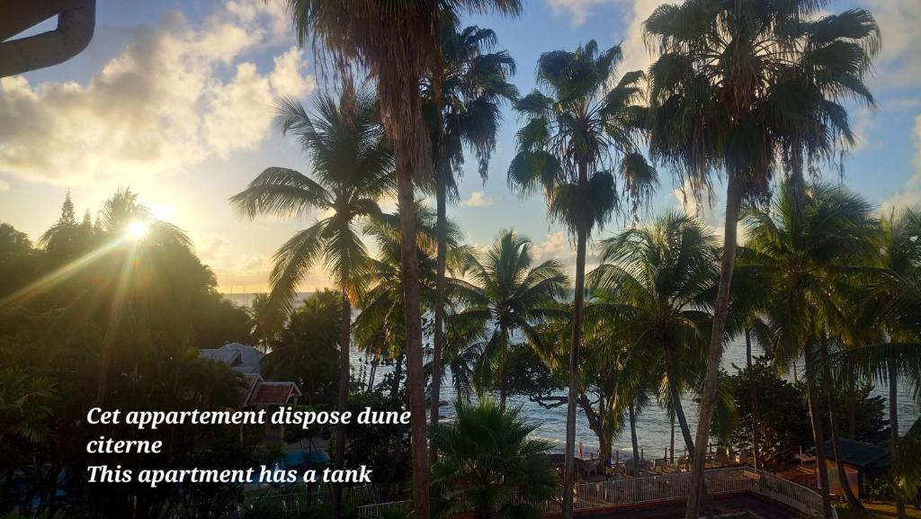 a group of palm trees in front of the ocean at Grand studio les pieds dans l'eau, centre ville in Le Gosier