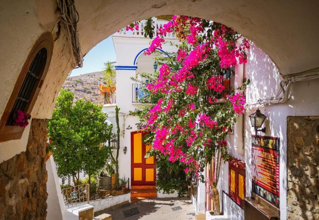 an alley with pink flowers in front of a building at Seraphina Bookings Mojacar in Mojácar