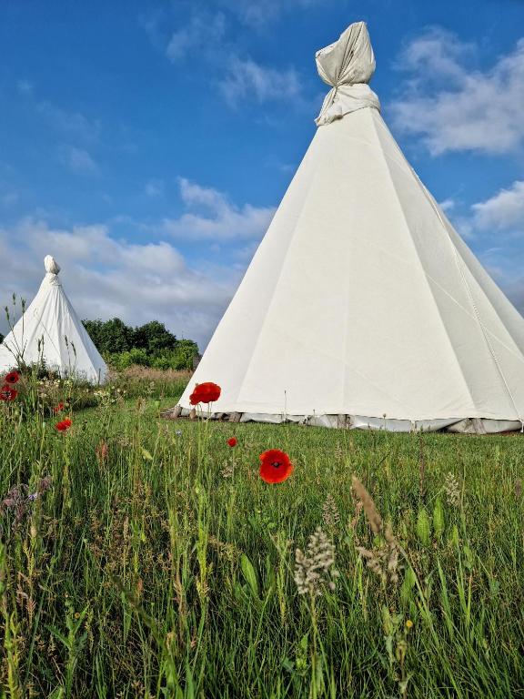 Fotografie z fotogalerie ubytování Landgoed Omorika v destinaci Ravels
