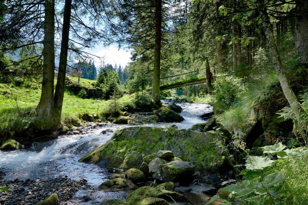 Příroda nedaleko apartmánu