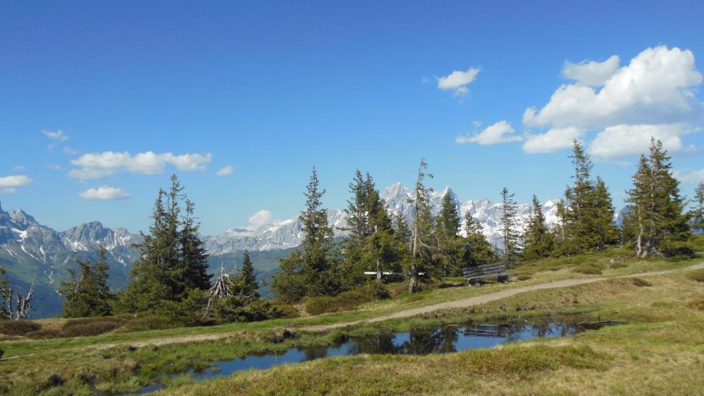 Pension Sonnhof - 17