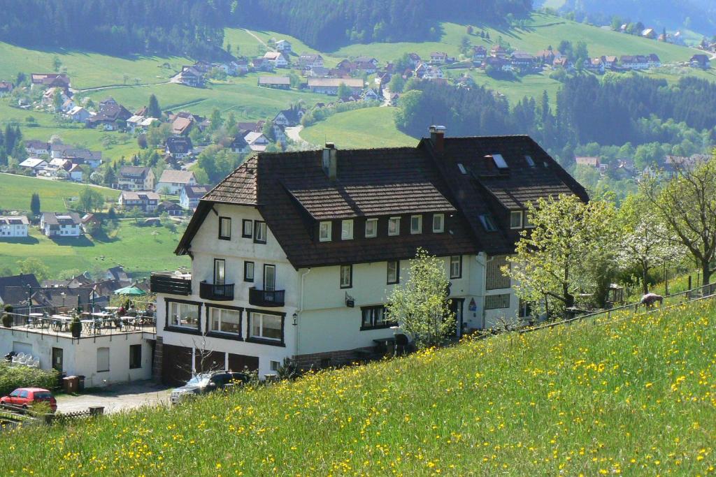 une maison au sommet d'une colline avec un champ de fleurs dans l'établissement Pension Garni Talblick, à Baiersbronn