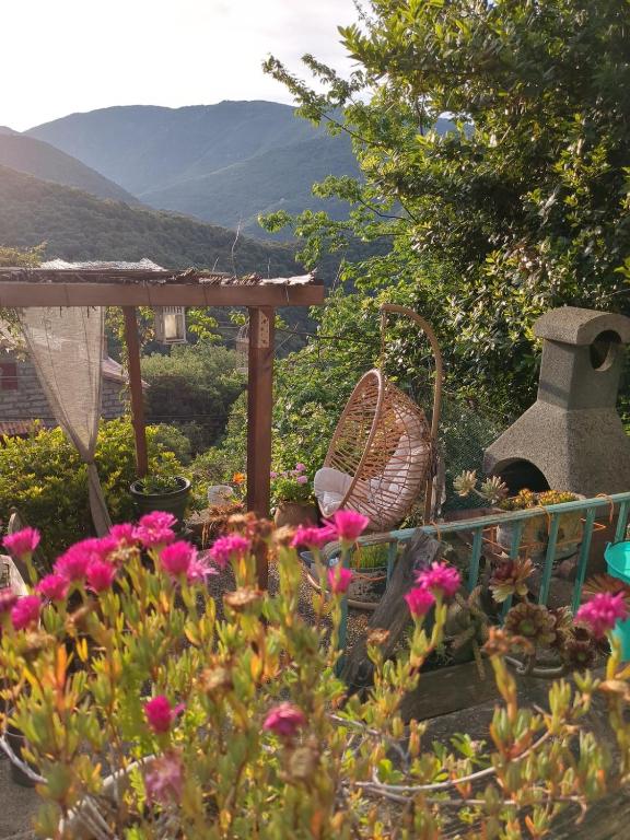 un jardin avec des fleurs, une chaise et un belvédère dans l'établissement Casa Di mamou, à Loreto-di-Tallano