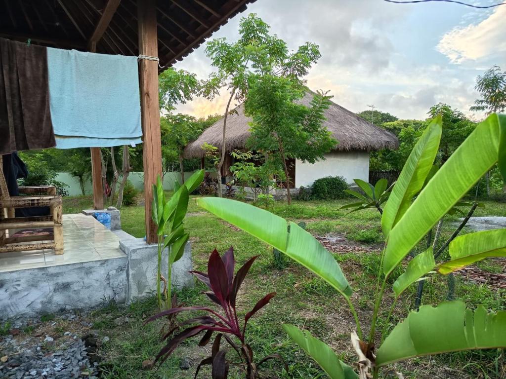 Zahrada ubytování Melody Surf - Ekas Lombok