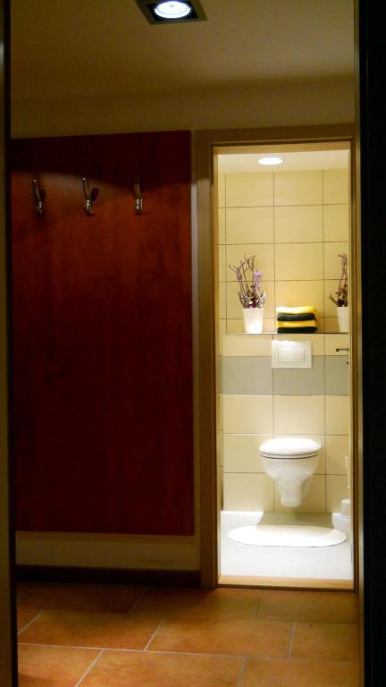 łazienka z toaletą przez szklane drzwi w obiekcie Apartments Světluška w mieście Loučná nad Desnou