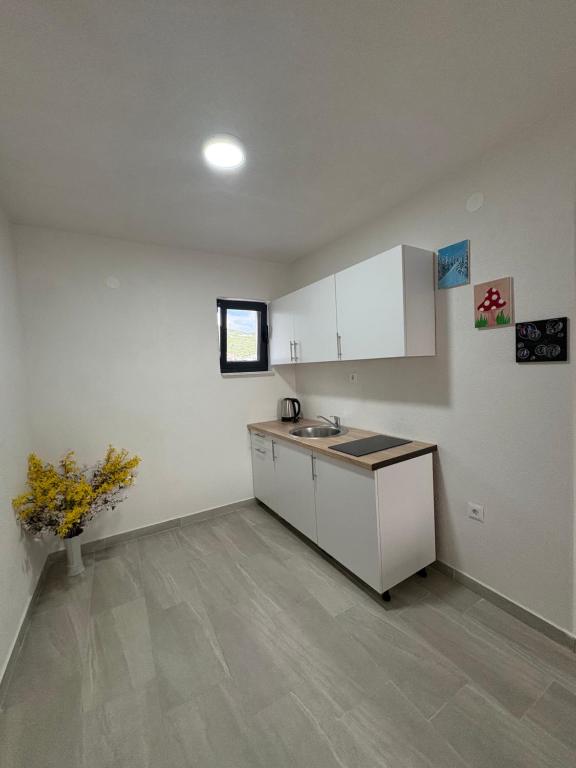 Kuchyň nebo kuchyňský kout v ubytování Apartmani Neum