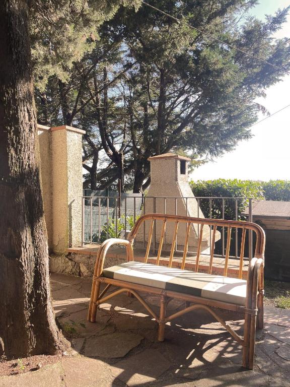 A garden outside Charming Self House
