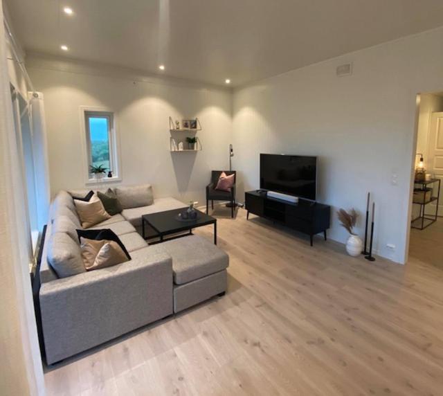 a living room with a couch and a television at Hagebyveien appartment - City Centre in Leknes