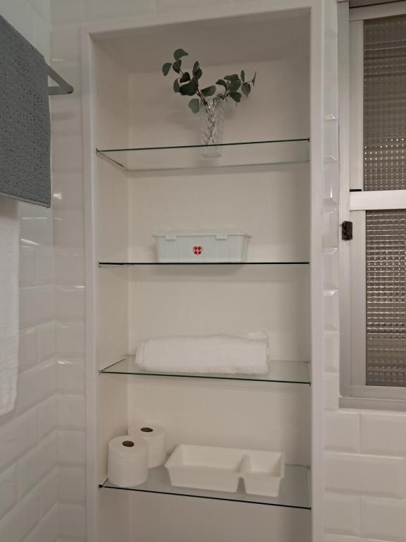 a bathroom with shelves and a vase with a plant at Apartamento El Lago Dos, Cartagena Centro in Cartagena