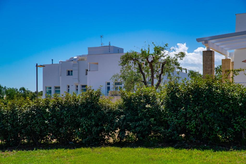 a white building with a tree in front of a hedge at Cala Ponte, a Tribute Portfolio Hotel in Polignano a Mare