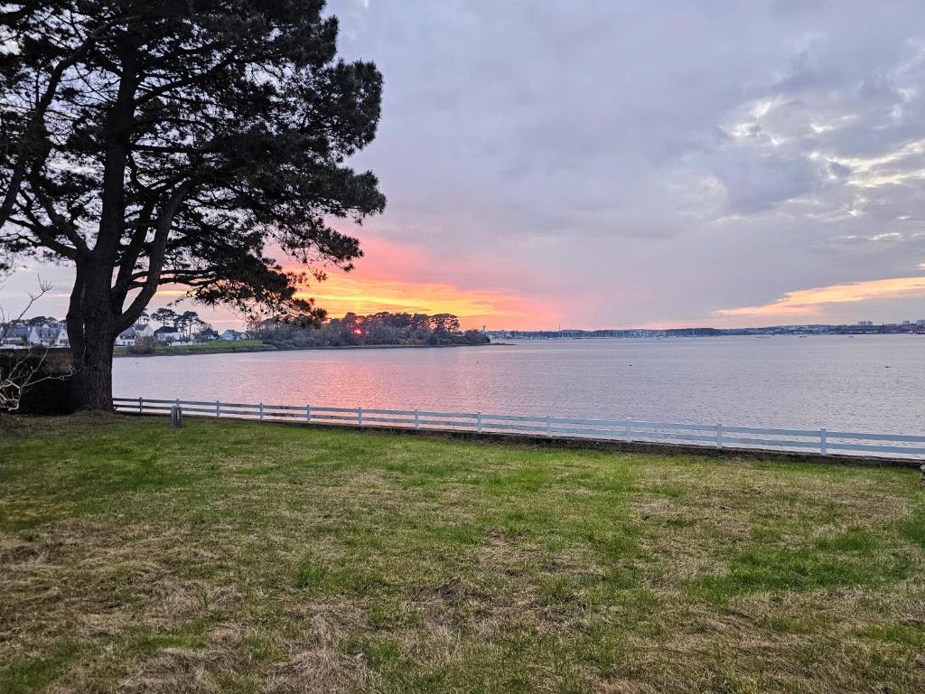 a tree sitting next to a body of water at Ker Ty Mor - Waterfront Family House in Port-Louis