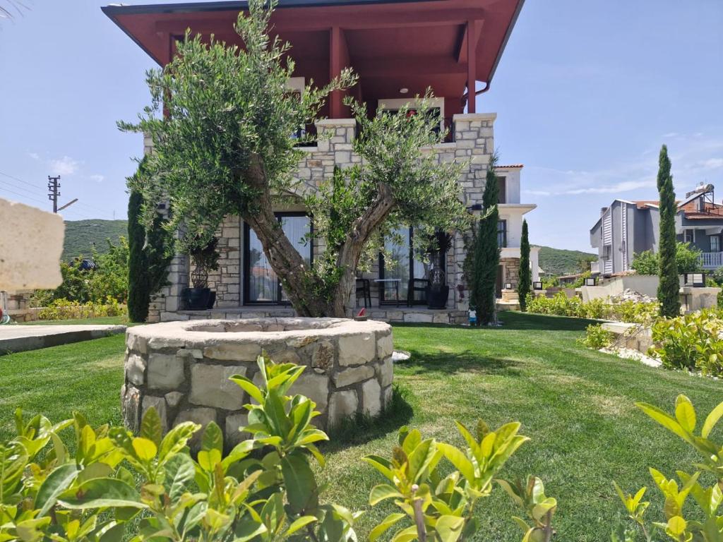 a house with a tree in the front yard at Velder House Urla in Urla