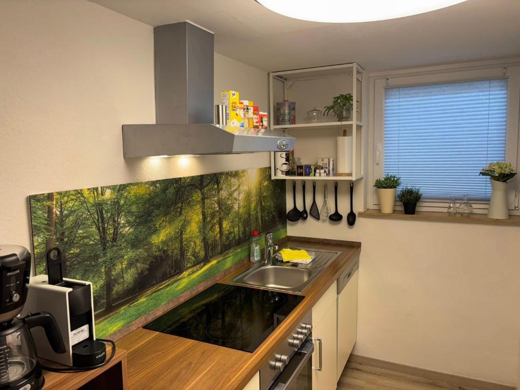 Löwenstein Ferienwohnungen - 4