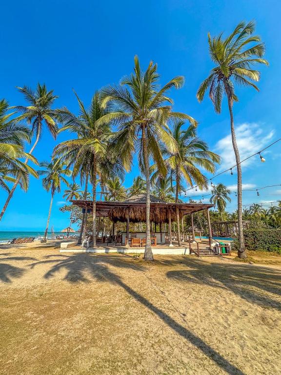 eine Gruppe von Palmen an einem Strand mit einem Pavillon in der Unterkunft Huku Beach Hostel in Palomino