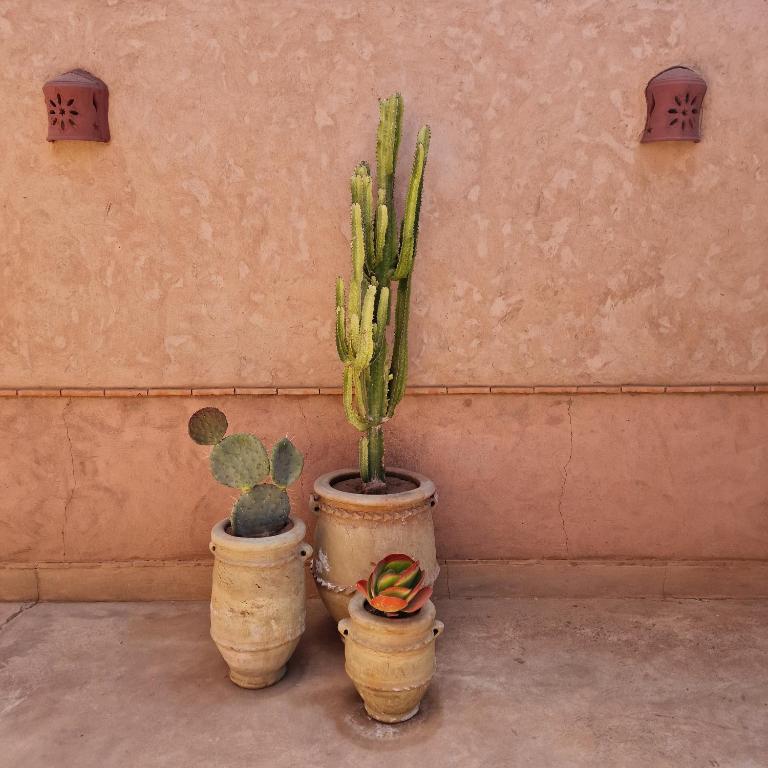 Fotografie z fotogalerie ubytování Villa Dar 55 - Berber House v Marrákéši