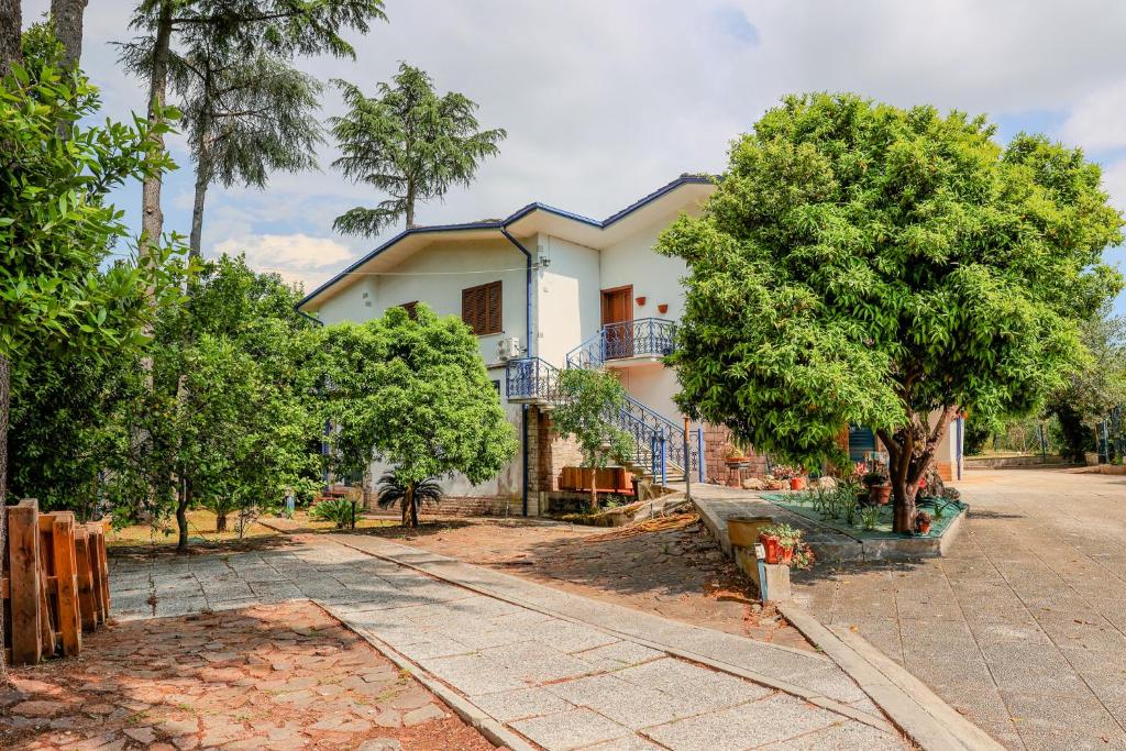 Zahrada ubytování Villa Pina