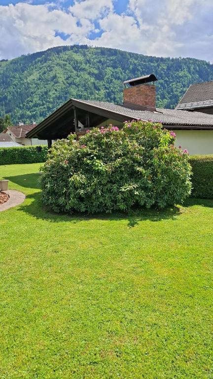 Fotografie z fotogalerie ubytování B&B Viering bronkhorst v destinaci Möllbrücke