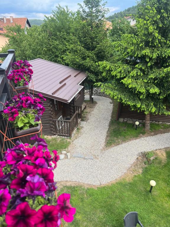 Příroda nedaleko penzionu