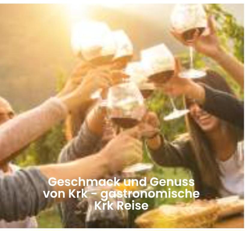 a group of people holding up glasses of wine at Vila Natasa Apartment 5 near Plitvice in Vrhovine