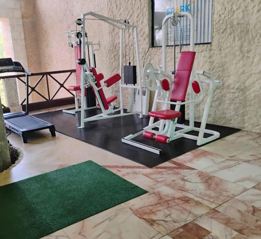 Fitness centrum a/nebo fitness zařízení v ubytování Essenzia de Cancun