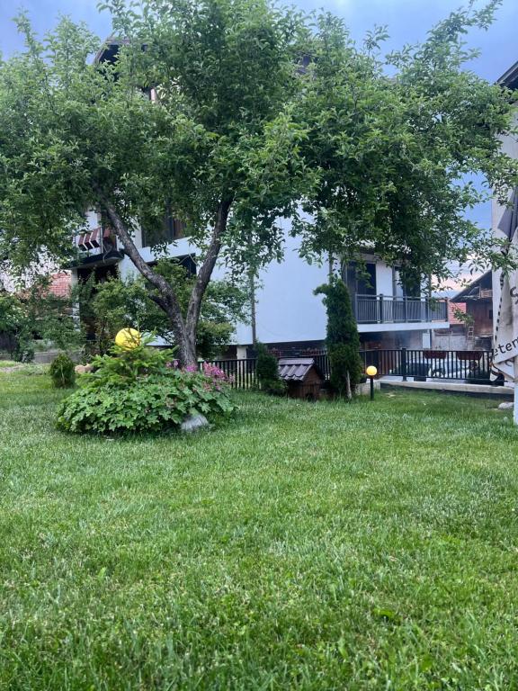 Zahrada ubytování Guest House Raffe