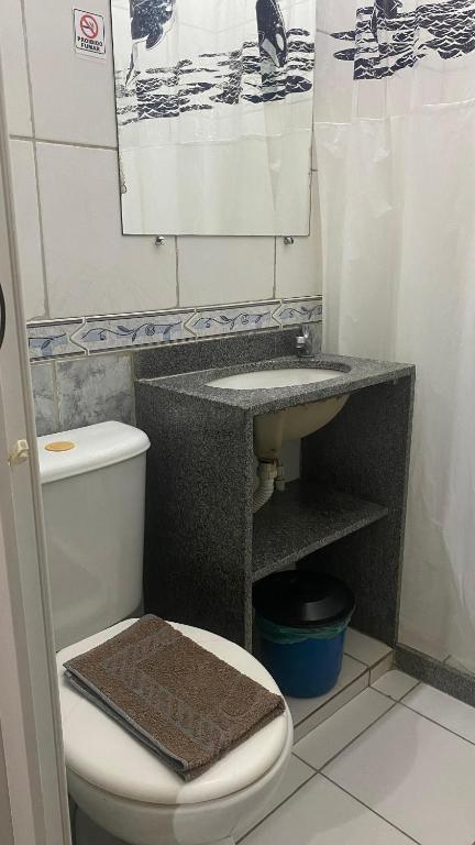 Koupelna v ubytování Pousada e Alojamento Engenho de Itaguaí