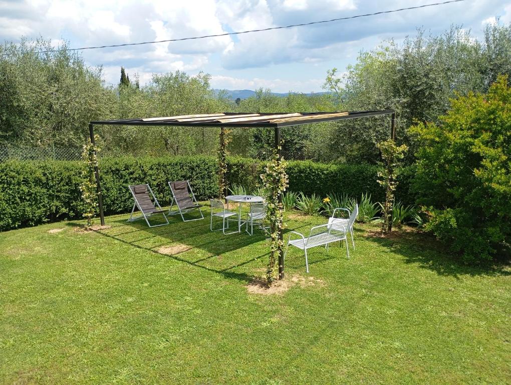 A garden outside Vignano40
