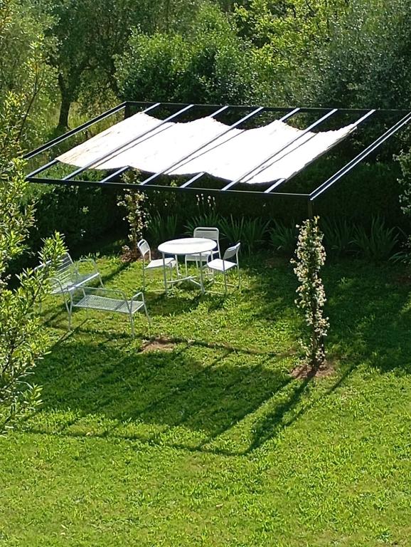 A garden outside Vignano40
