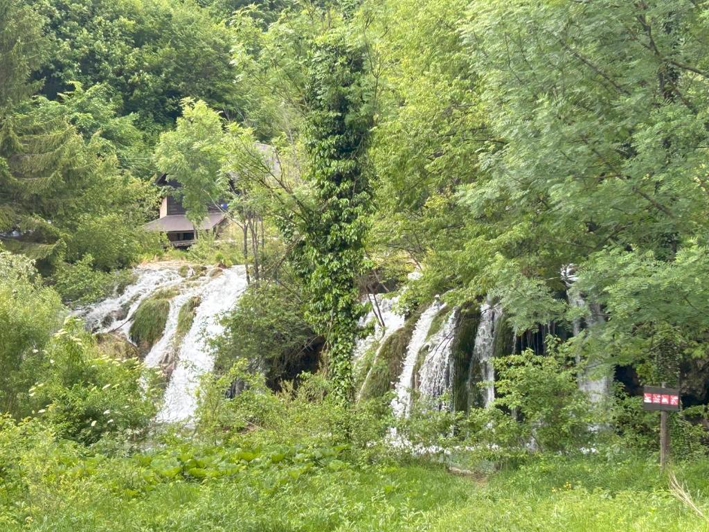a waterfall in the middle of a forest at Wooden Villa Old Oak Plitvice Lakes in Seliste Dreznicko