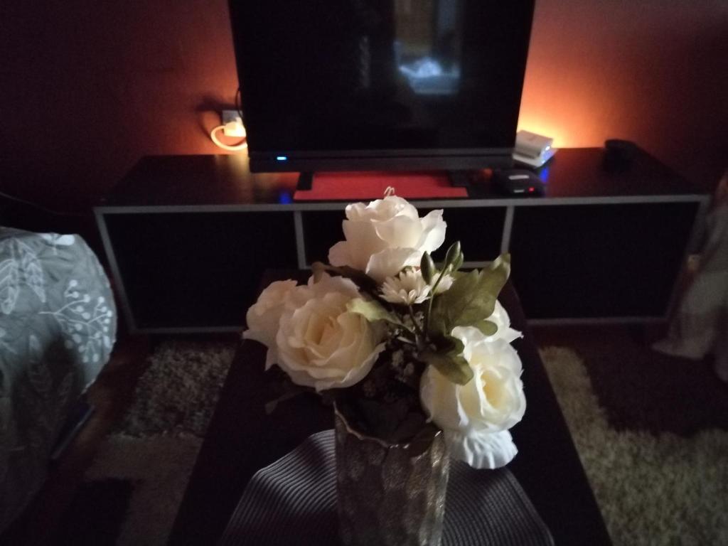 Gallery image of Family House in Golubac