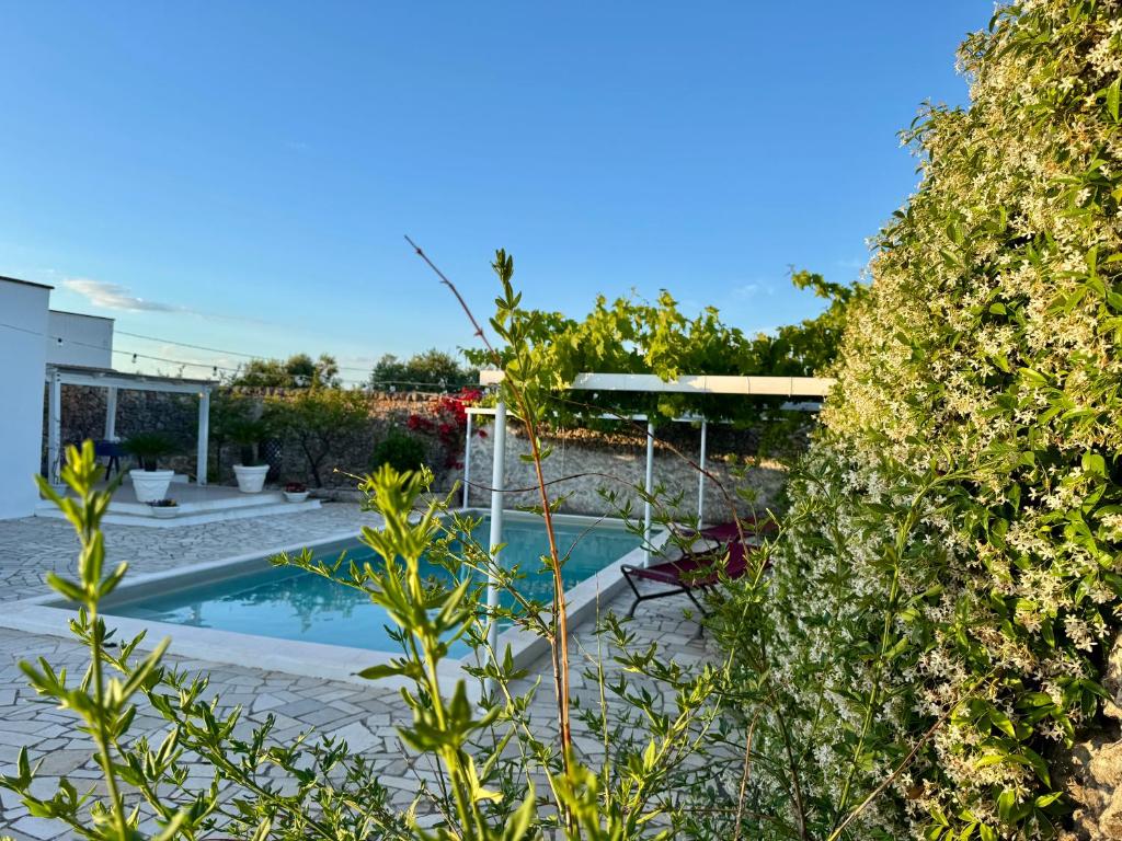 The swimming pool at or close to La Corte di Nunu'