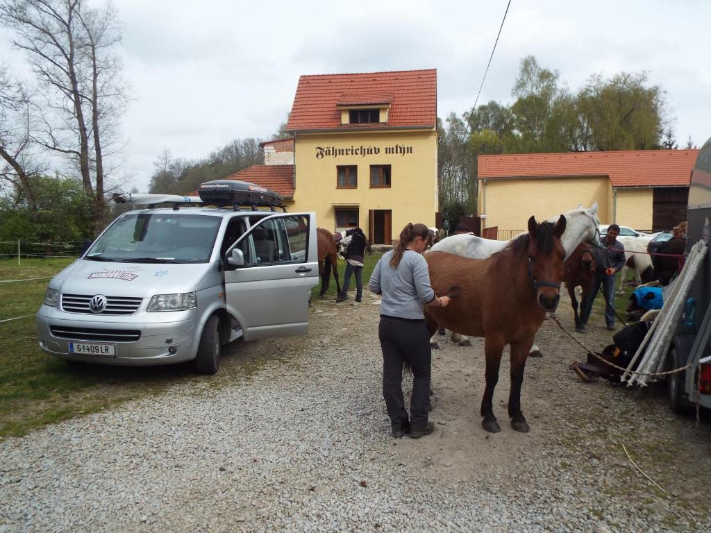Zvířata v penzionu nebo okolí