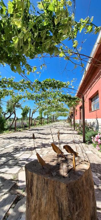 Fotografie z fotogalerie ubytování Podere Muracciolo v destinaci Tuscania