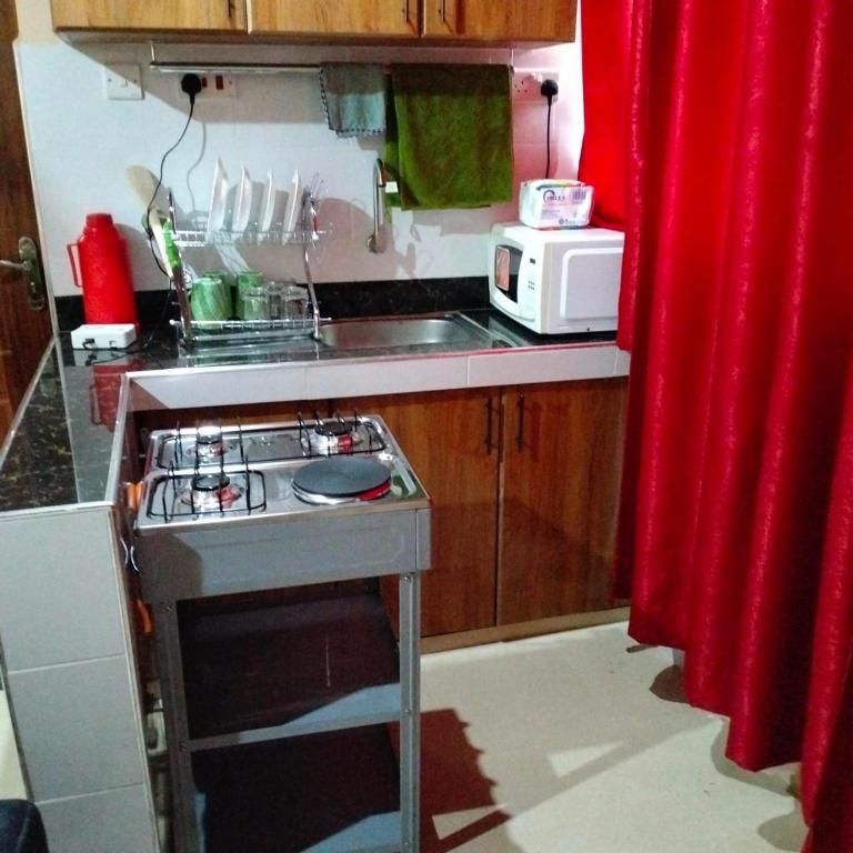 Kuchyň nebo kuchyňský kout v ubytování Liz homes BNB