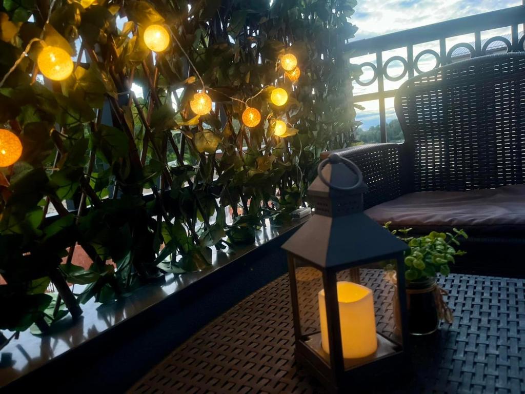 Zahrada ubytování Apartman 3N