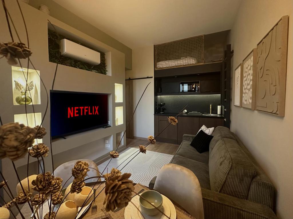 セリニャンにあるLe Japandi - appartement cosy & friendlyのソファとテレビのあるリビングルーム