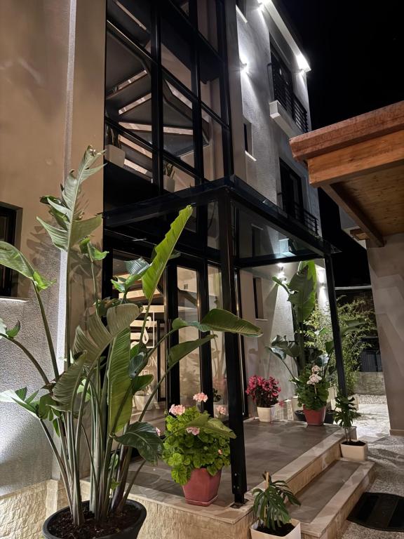 Zahrada ubytování Ritson Hotel