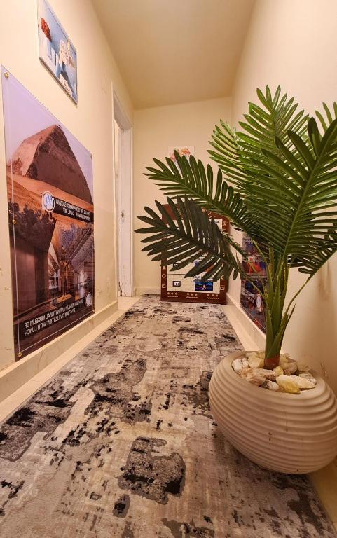 Fotografie z fotogalerie ubytování family suites cairo v Káhiře