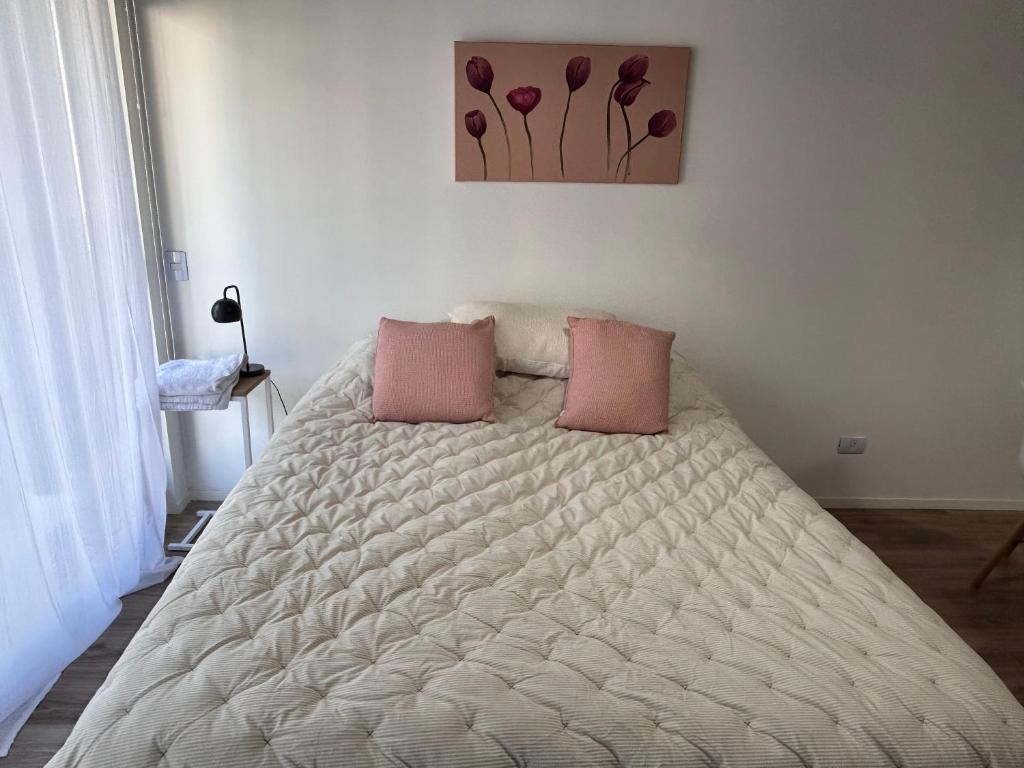 1 dormitorio con 2 almohadas rosas en Excelente Apartamento en calle Moldes, en Buenos Aires