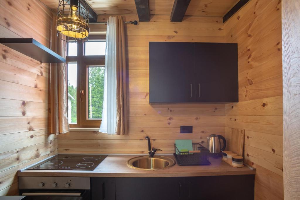 una cocina con fregadero y estufa en Quiet City Apartments, en Žabljak