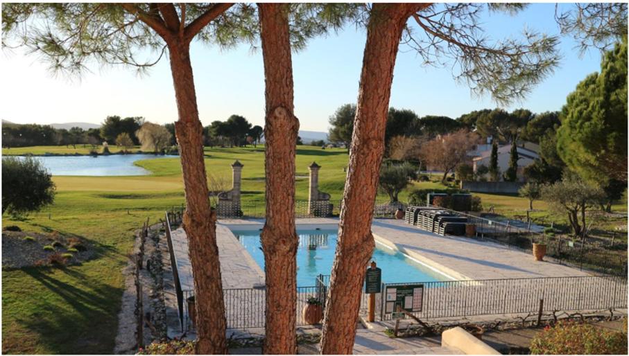 - une vue sur la piscine entre deux arbres dans l'établissement Appartement de charme sur le domaine de Pont Royal à Mallemort, en rez-de-jardin avec terrasse & piscine et vue sur le Golf, à Mallemort