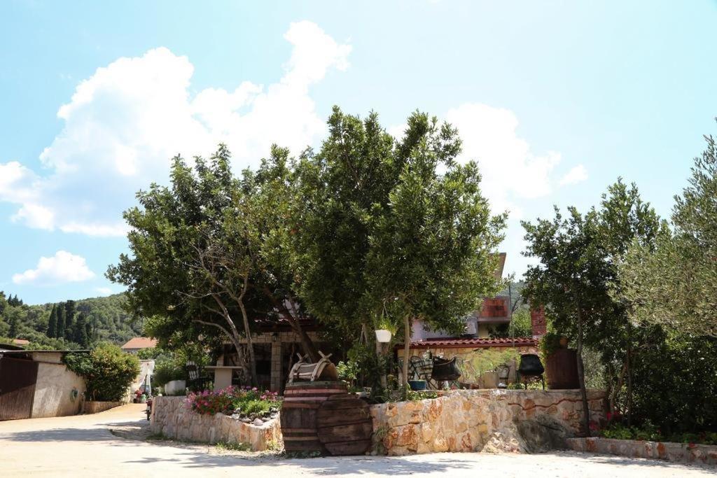 スタリー・グラードにあるApartments with parking spaces Dol, Hvar - 24122の木と石垣の家