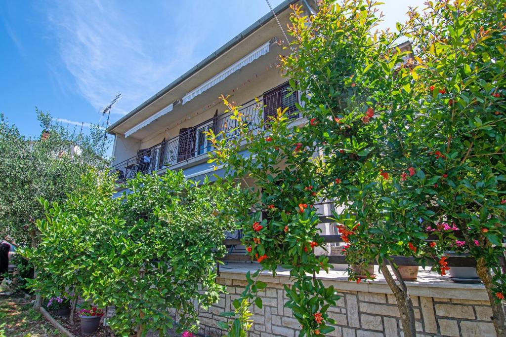 Apartments with parking space Pula - 23336