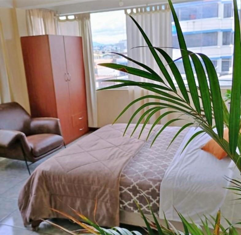 a bedroom with a bed and a chair and a plant at centrico departamento in Cusco