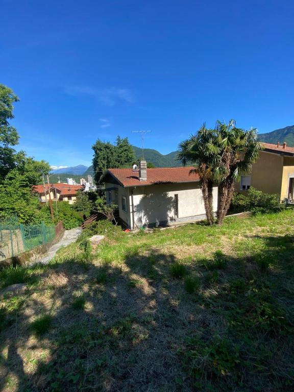 a house with a palm tree in a yard at Villa la Palma in Gemonio