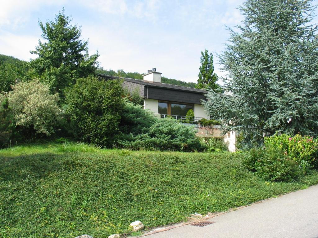Zahrada ubytování B&B Hersberg