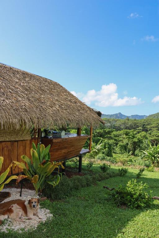 Fare Maimiti - photo 3 - Huahine, Polynésie