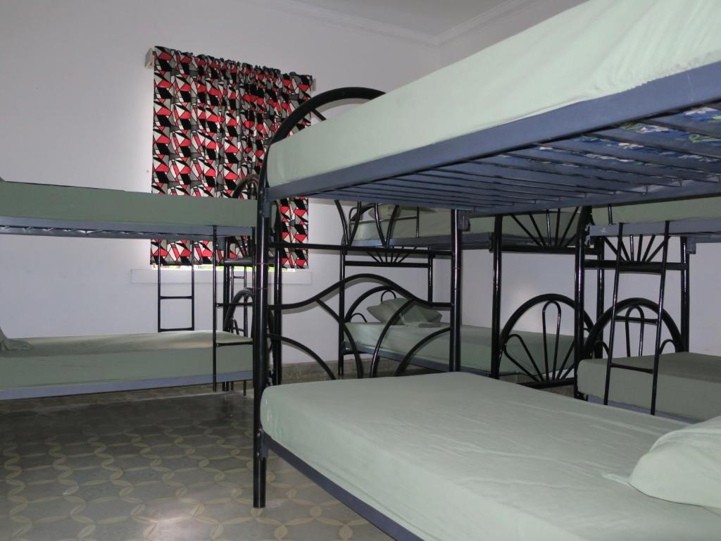 Hostal Cumbres del Volcan Flor Blanca - Kadın Yatakhanesinde Ranza