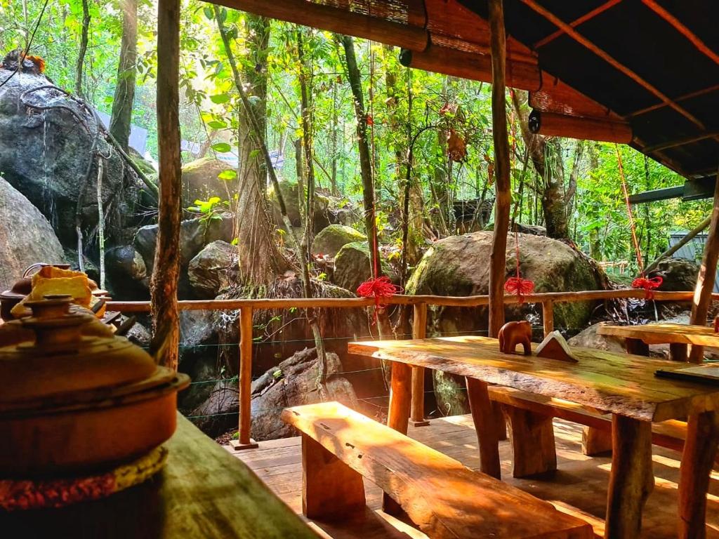 Zahrada ubytování Sudagala Jungle Glamping